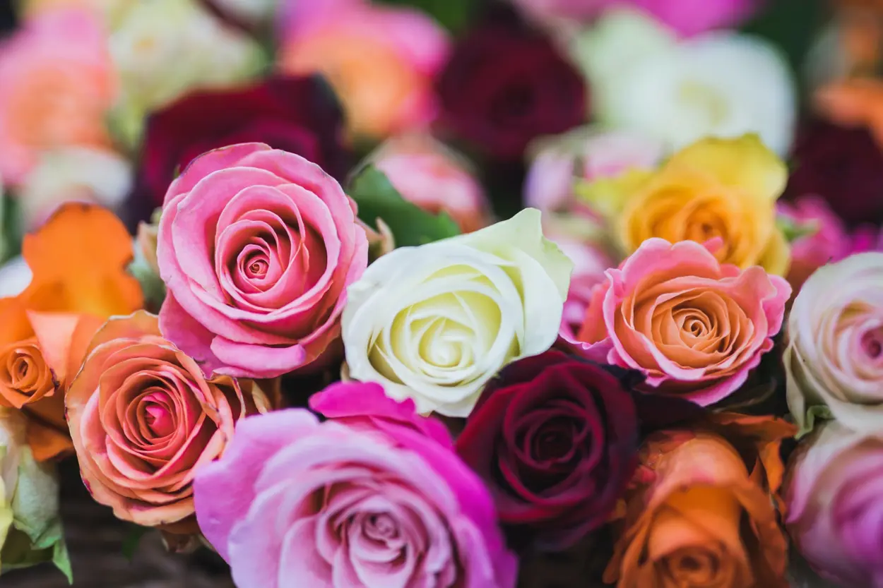 6 tips to enjoy a bunch of flowers for a longer period of time